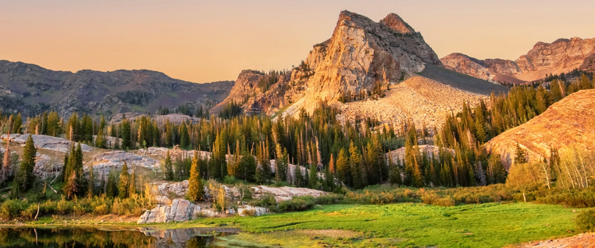 Exploring the Crime Rate and Associations in Salt Lake County, Utah: An Expert's Perspective
