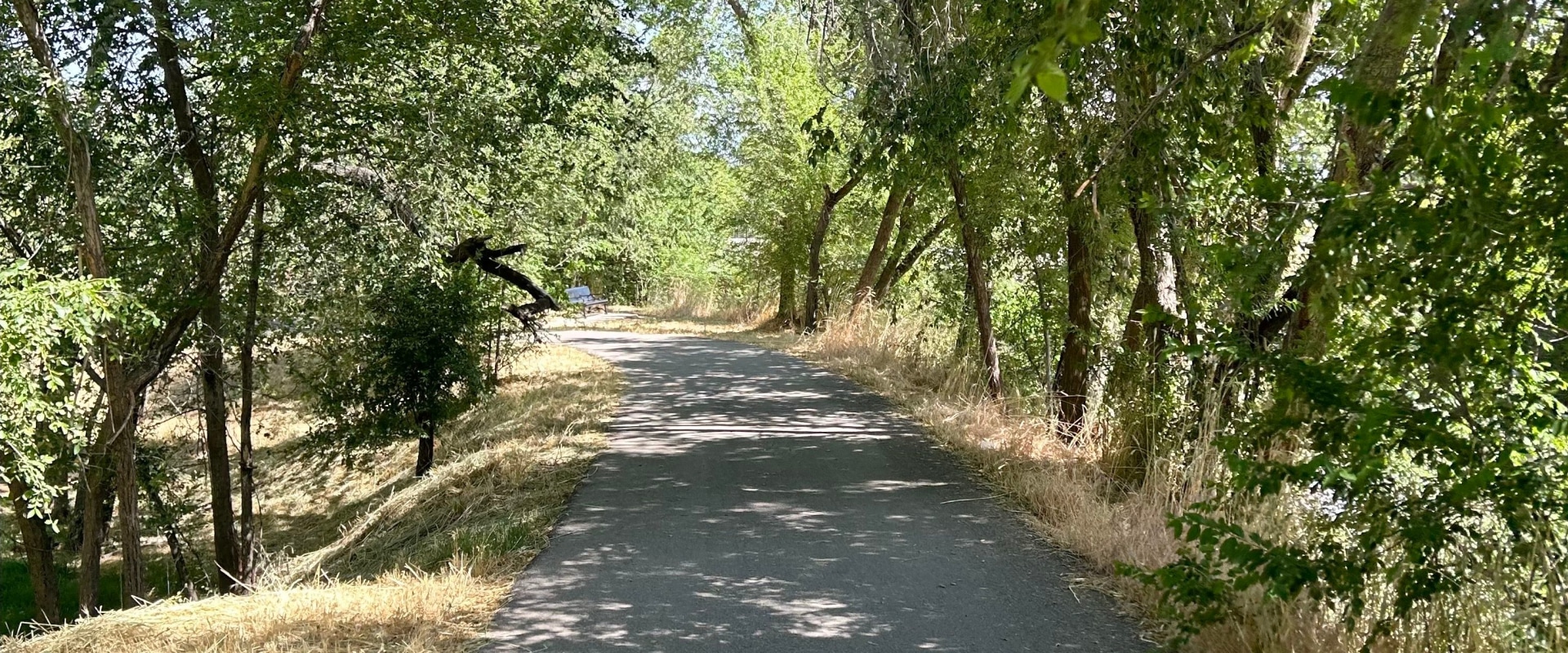 Exploring the Green Spaces and Associations in Salt Lake County, Utah: A Nature Lover's Paradise