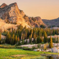 Exploring the Crime Rate and Associations in Salt Lake County, Utah: An Expert's Perspective