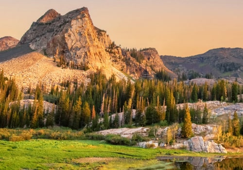 Exploring the Crime Rate and Associations in Salt Lake County, Utah: An Expert's Perspective