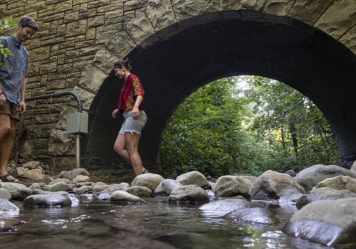 The Thriving Sports Scene in Salt Lake County, Utah